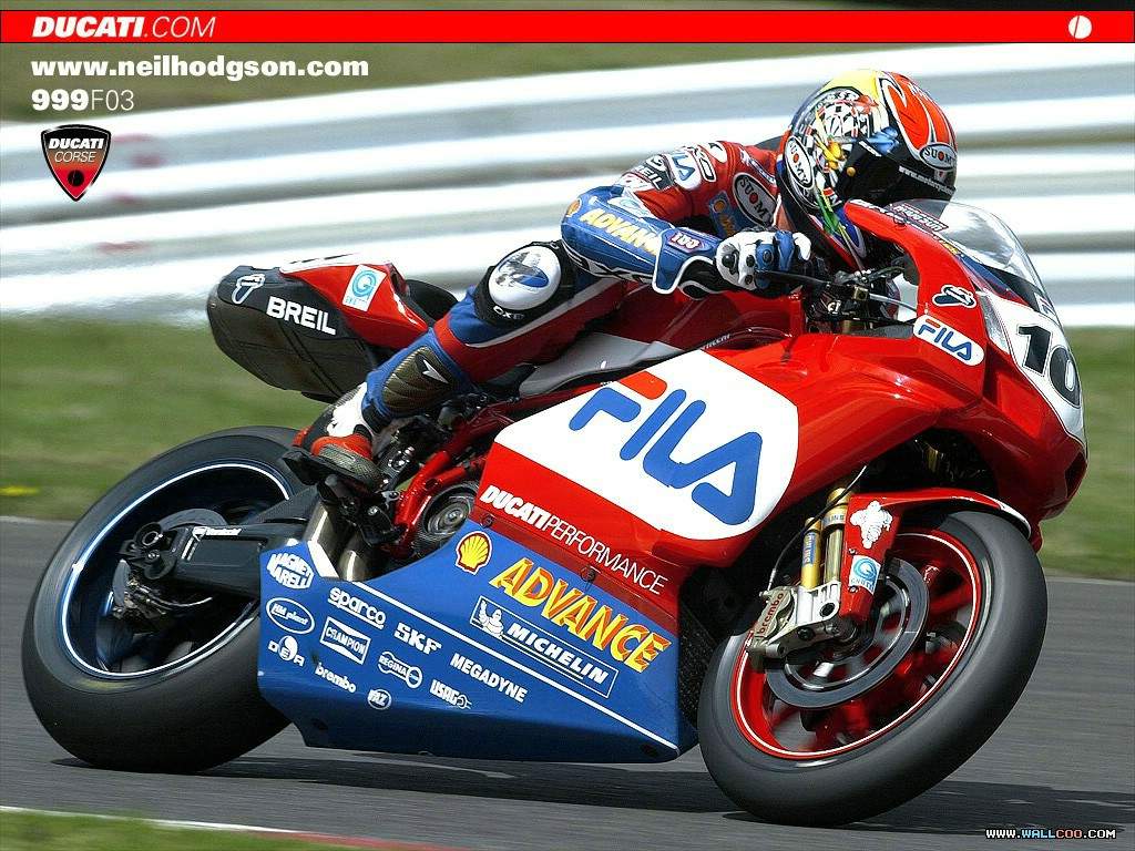 fila ducati